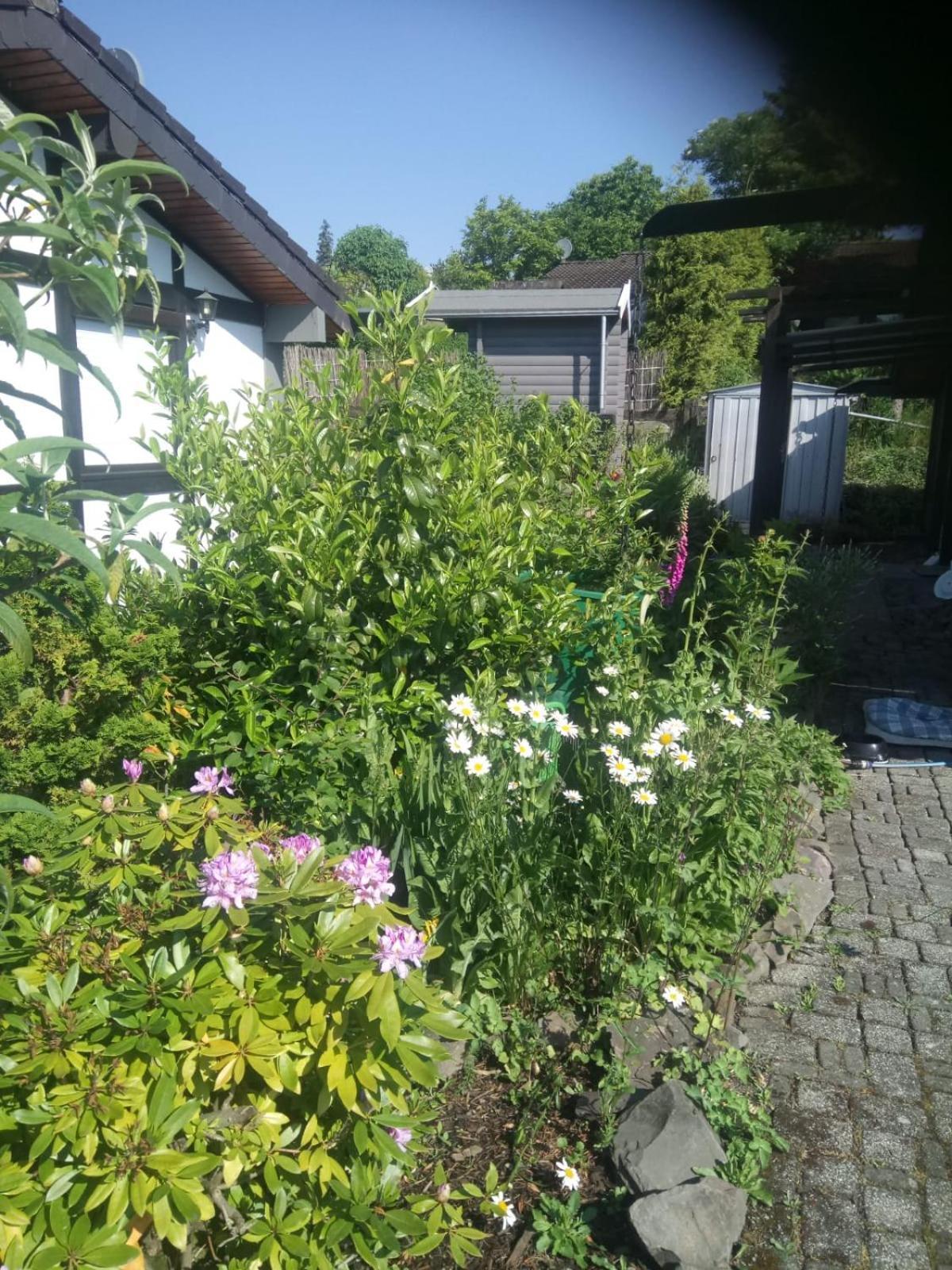 Haus Am Listersee Meinerzhagen Buitenkant foto