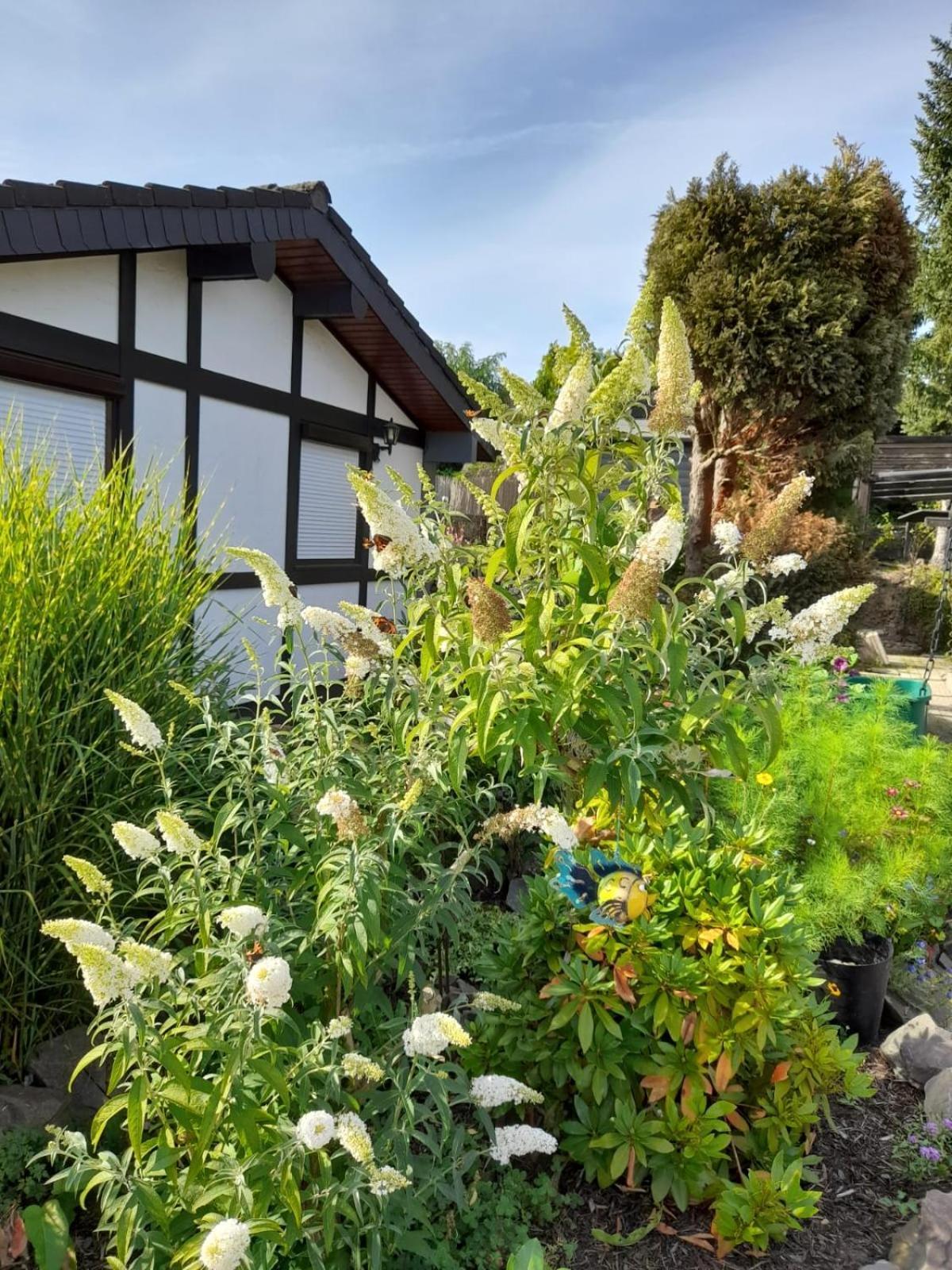 Haus Am Listersee Meinerzhagen Buitenkant foto