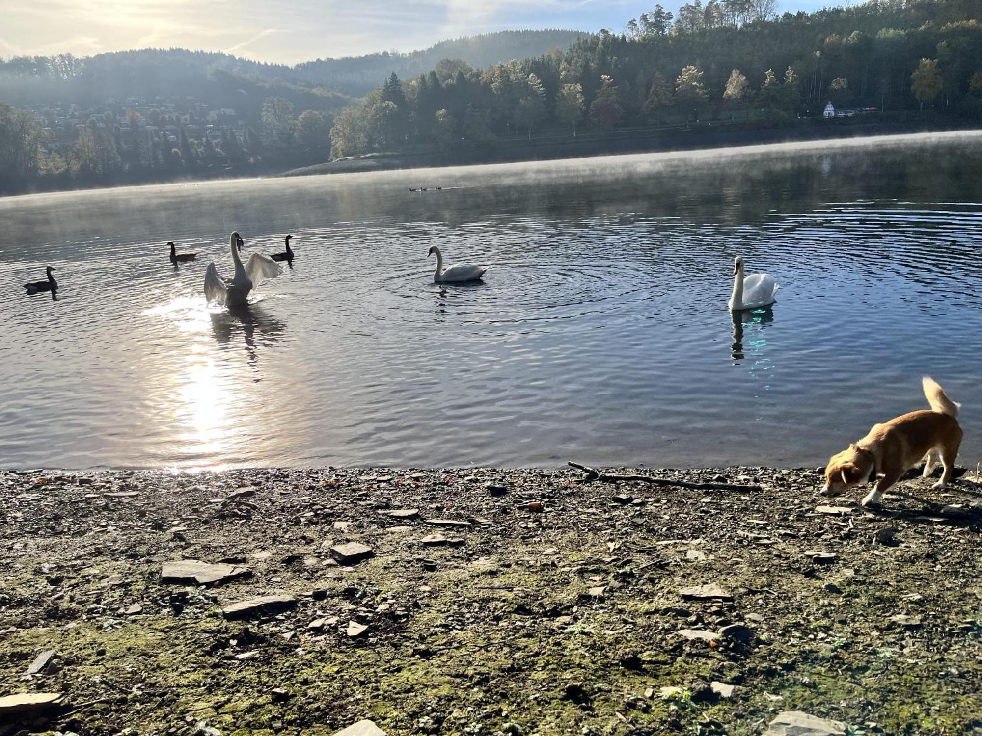 Haus Am Listersee Meinerzhagen Buitenkant foto